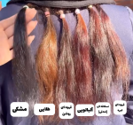 شامپو رنگ مو گیاهی بدون نیاز به دکلره و اکسیدان(اورجینال) - Image 3